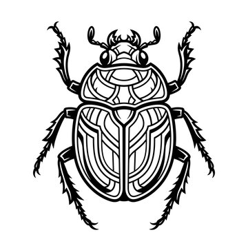Stylized Scarab Beetle Illustration.