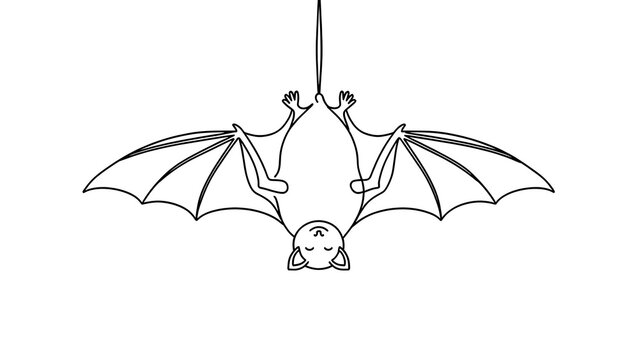 Hanging bat illustration on white background.