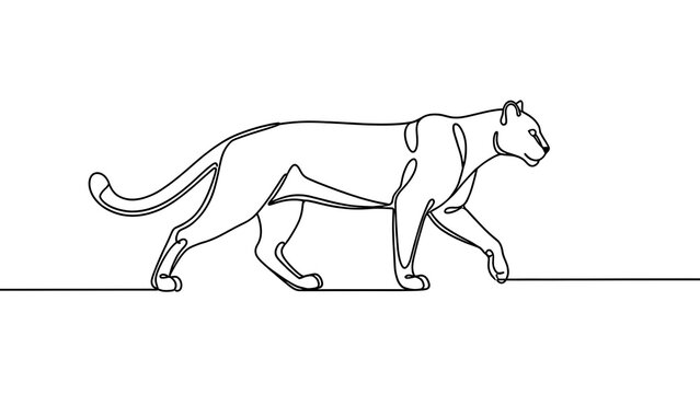 Elegant panther walking illustration white background.