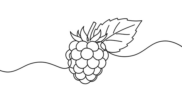 Black and white raspberry illustration on white background.