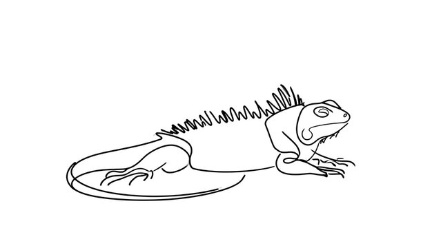 Cute cartoon lizard drawing white background.