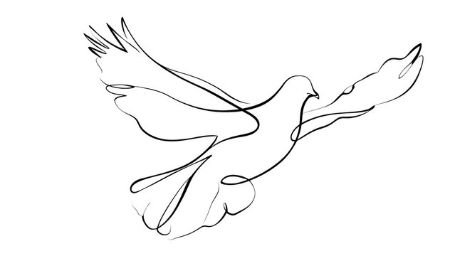 Flying bird sketch illustration white background.