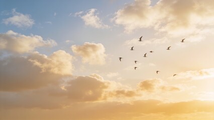 Fototapeta premium Seagulls flying in golden sunset sky — scenic background for travel, wellness, editorial and web use