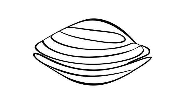 Minimalist line art clam shell white background.