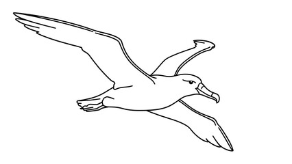 Fototapeta premium Albatross bird flying illustration white background.