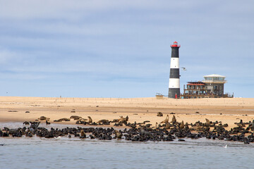 Ein Leuchtturm steht an der Küste, davor ist eine Robbenkolonie am Strand bei Swakopmund, Namibia, zu sehen. © Jane Be. The Picture