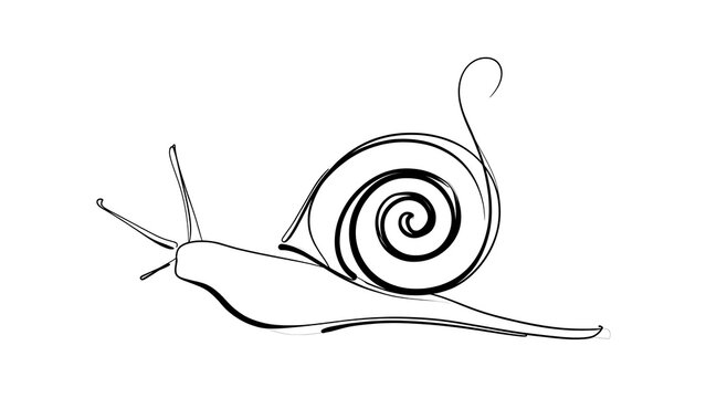 Minimalist snail illustration on white background.