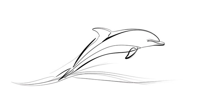 Elegant dolphin line art illustration white background.