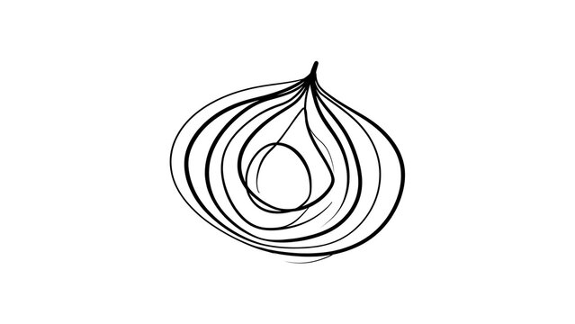 Hand drawn onion sketch white background.