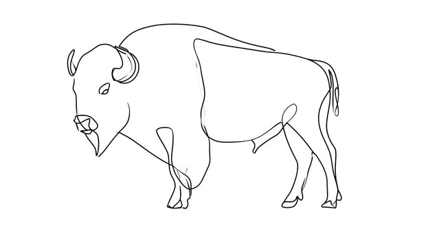Minimalist bison line drawing on white background.