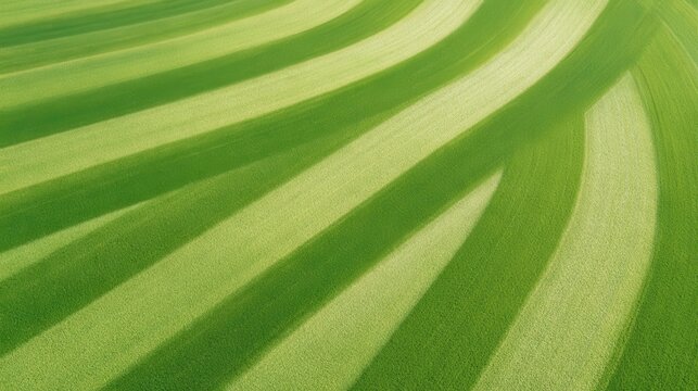 Aerial top down view of crop field with GPS guided tractor patterns