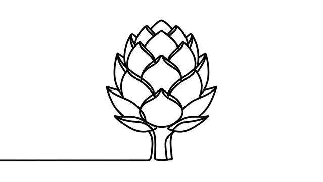 Artichoke line drawing illustration white background.