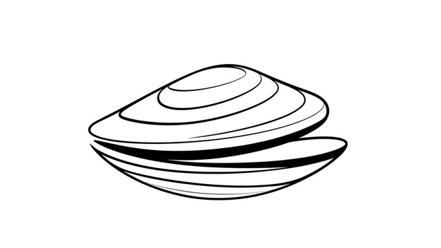 Black and white mussel shell illustration white background.