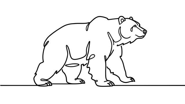 Minimalist bear line art on white background.