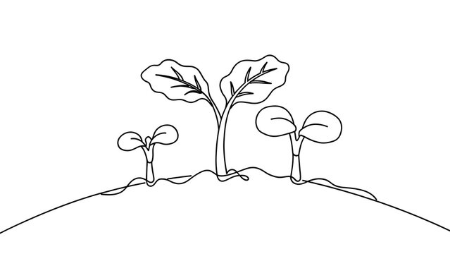 Minimalist tree drawing on white background.