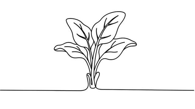 Minimalist line art plant white background.