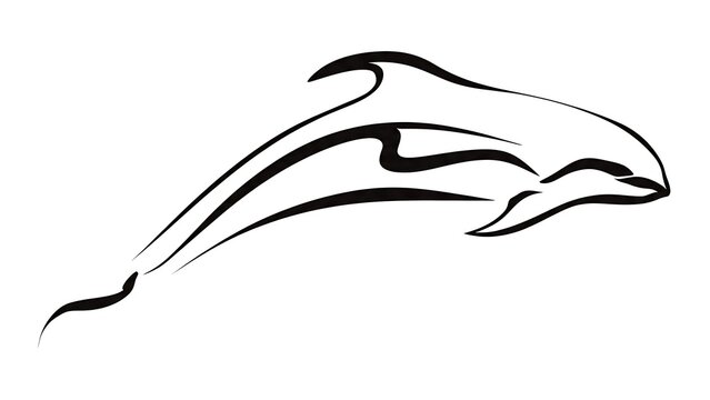 Elegant dolphin line art illustration white background.