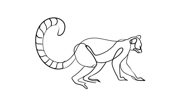 Line art lemur illustration on white background.