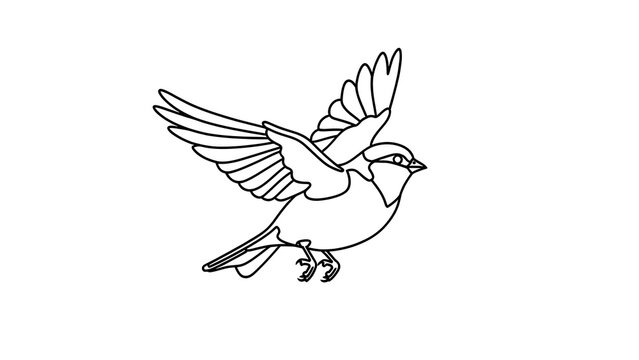 Flying bird illustration on white background.