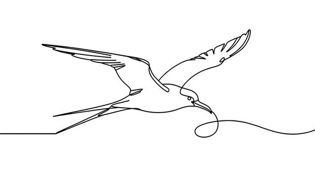Minimalist bird drawing with white background.