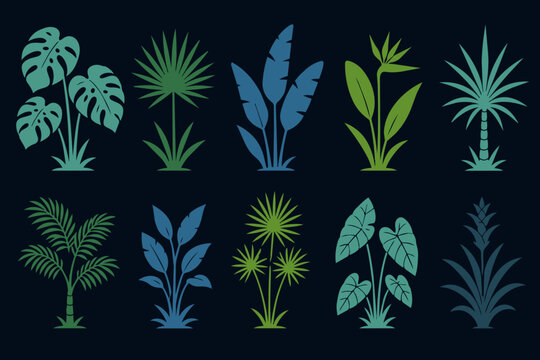 Set of tropical plants and exotic botanicals in vector