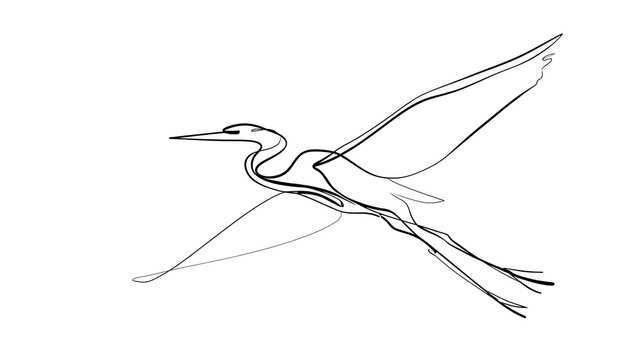 Elegant heron in flight illustration white background.
