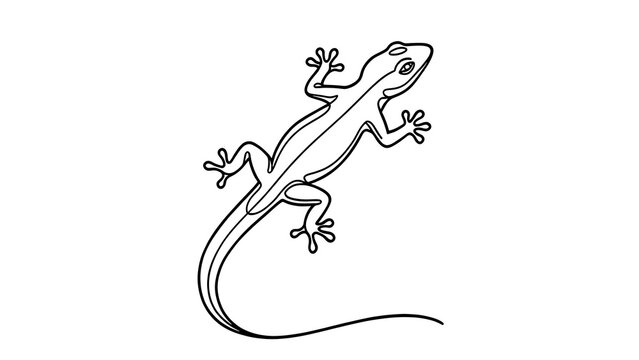 Gecko lizard line art illustration white background.