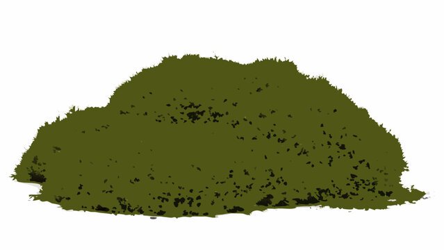 Green moss clump isolated on a white background a detailed 3d rendering of natural vegetation mosses bryophytes
