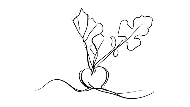 Minimalist beetroot illustration on white background.