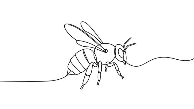 Minimalist bee line drawing white background.