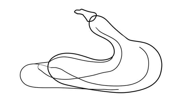 Minimalist snake line art drawing white background.