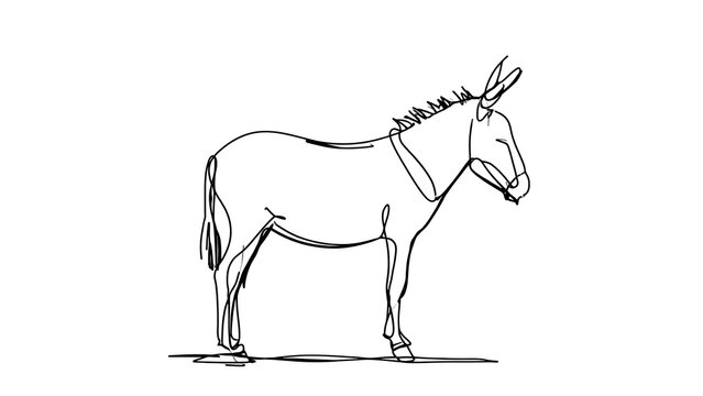 Simple line drawing of a donkey white background.
