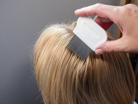 hand combing blonde hair with a nit comb for lice removal