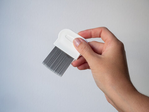 hand holding metal nit comb lice treatment white background