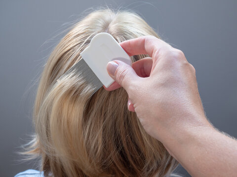 hand combing blonde hair with a nit comb for lice removal