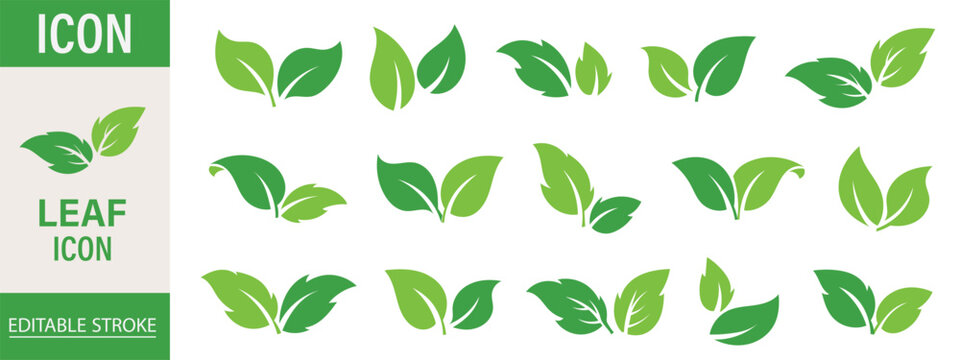 Leaf sprout icon vector set, green leaves plant eco logo symbol simple graphic illustration set, vegan fresh herb pictogram shape sign, organic natural healthy logotype eps 10