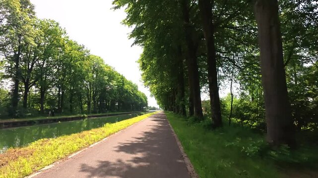 POV Cycling on a Serene Path Alongside a Canal and Through a Tunnel of Green Trees on a Sunny Summer Day