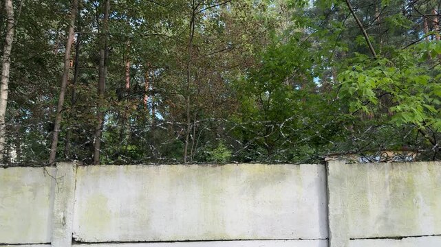 Weathered concrete wall topped with barbed wire fence, security perimeter barrier with green trees in background outdoors. Restricted area boundary, protection and security concept