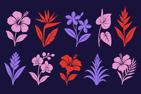Set of exotic tropical flowers, resort botanicals in the Caribbean illustrated as vector drawings 