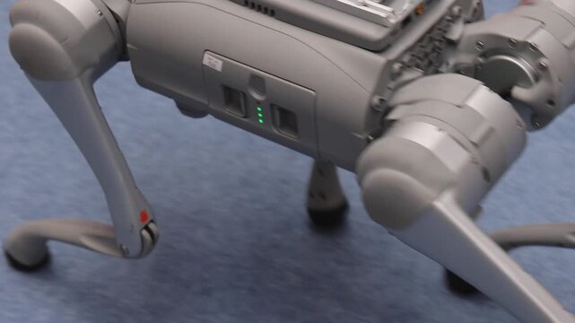 Education Autonomous Robot Dog Learns How to Move On Its Own Demo