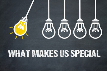 Fototapeta premium What makes us special