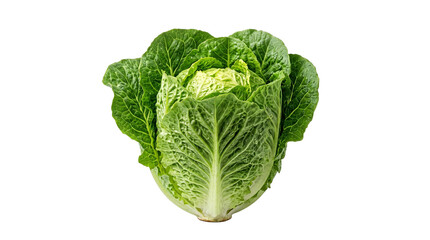 Obraz premium Fresh Lettuce Heads on a Black Background