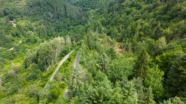 Road through forest in summer, path through coniferous and deciduous trees, rural countryside landscape in Eifel Germany, travel destination, aerial view