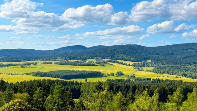 Green alpine meadows in Lipno, Czech Republic, surrounded by beautiful natural landscape.
