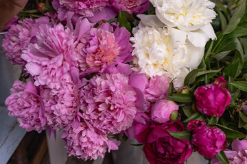 Obraz premium Pink and white peonies in a bouquet