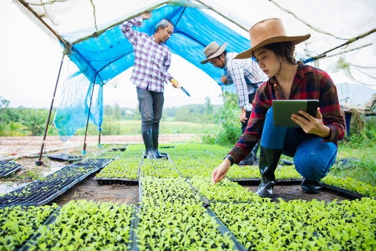 Female Farmer Using Digital Tablet While Inspecting Vegetable Seedlings in Modern Plant Nursery