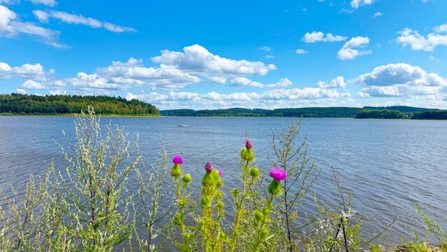 Scenic view of Lake Lipno  near Lipno nad Vltavou, Czech Republic