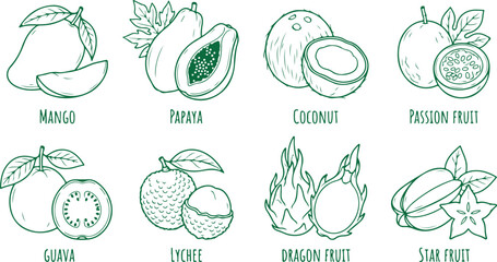 Obraz premium Set of tropical exotic fruits in line art style mango papaya coconut passion fruit guava lychee dragon fruit star fruit illustration.