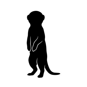 Simple black silhouette of a meerkat standing upright in a watchful pose, isolated on a clean white background, for projects