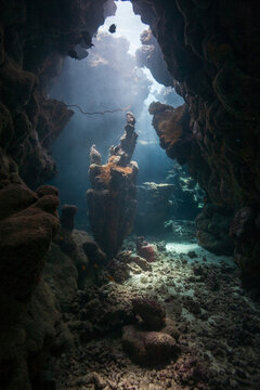 Vertical view of a massive coral reef pinnacle inside a cave with sun rays
